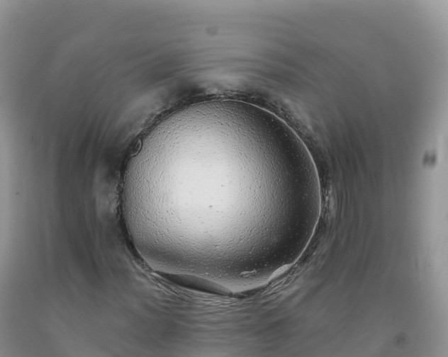 X0000092081012200709191220