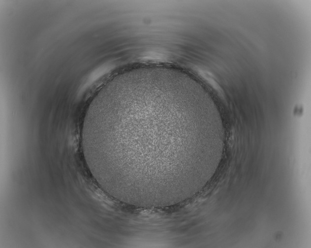 X0000092081015200709191220