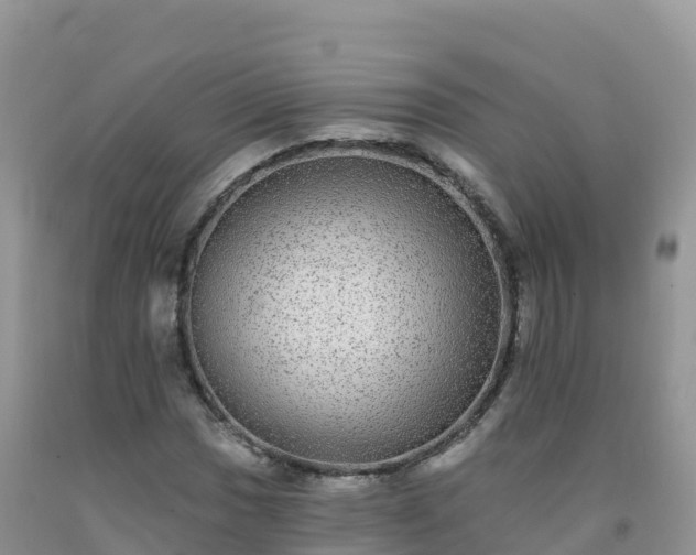 X0000092081017200709191220