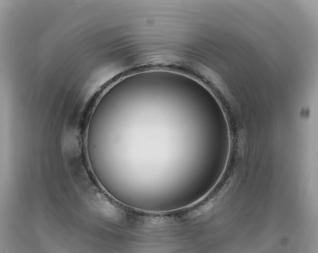 X0000092081018200709191220