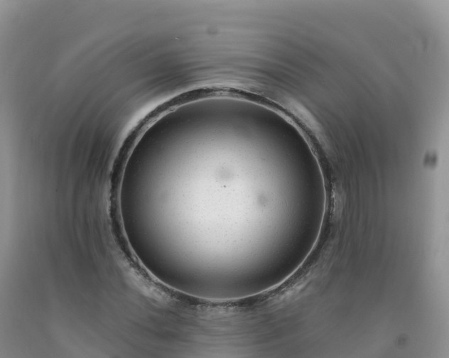 X0000092081020200709191220