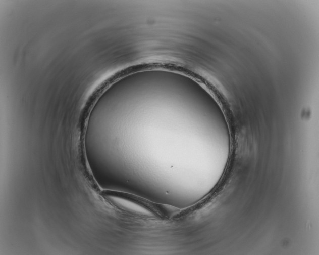 X0000092081021200709191220