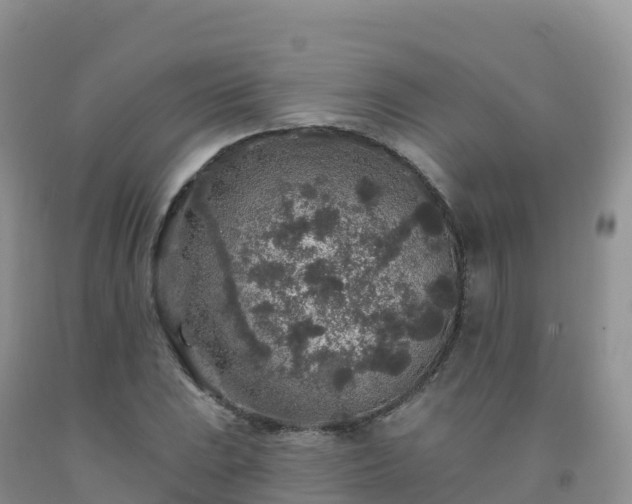 X0000092081023200709191220
