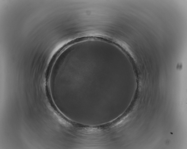X0000092081024200709191220