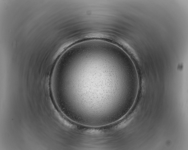 X0000092081033200709191220