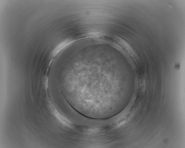 X0000092081034200709191220
