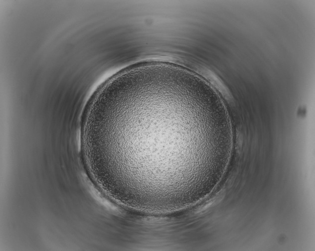 X0000092081036200709191220