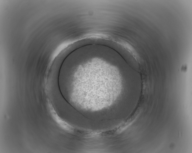X0000092081038200709191220