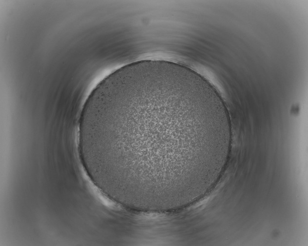 X0000092081040200709191220