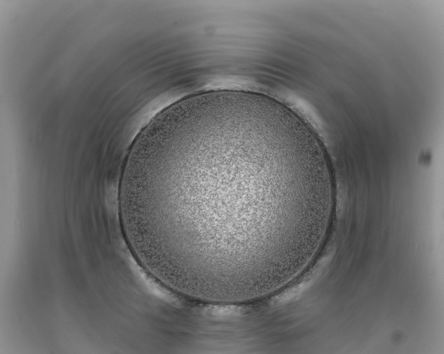 X0000092081041200709191220