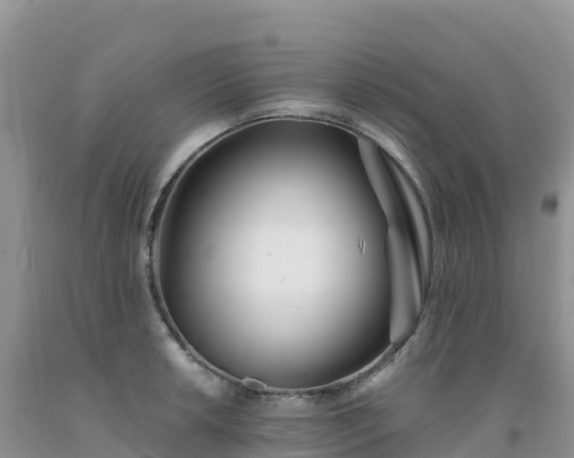 X0000092081042200709191220