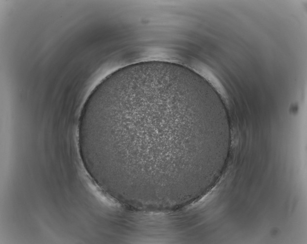 X0000092081043200709191220