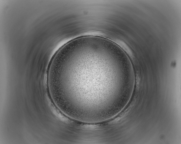 X0000092081044200709191220