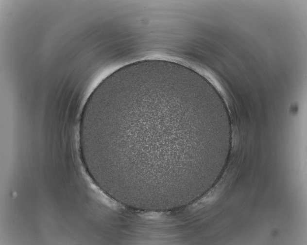 X0000092081048200709191221