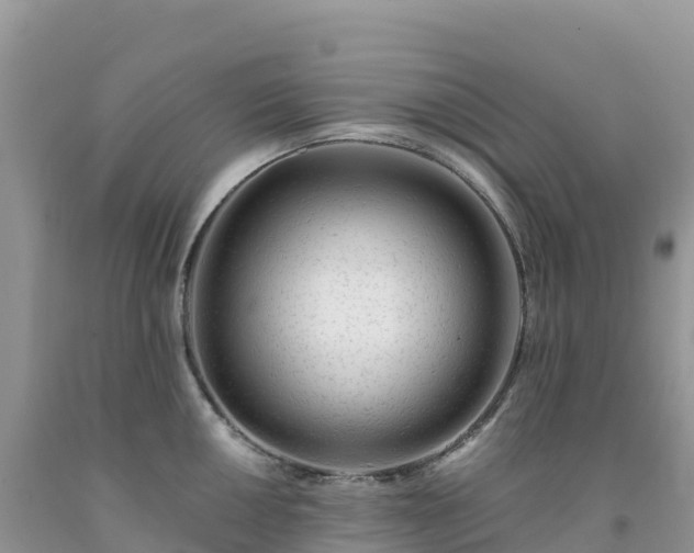 X0000092081050200709191221