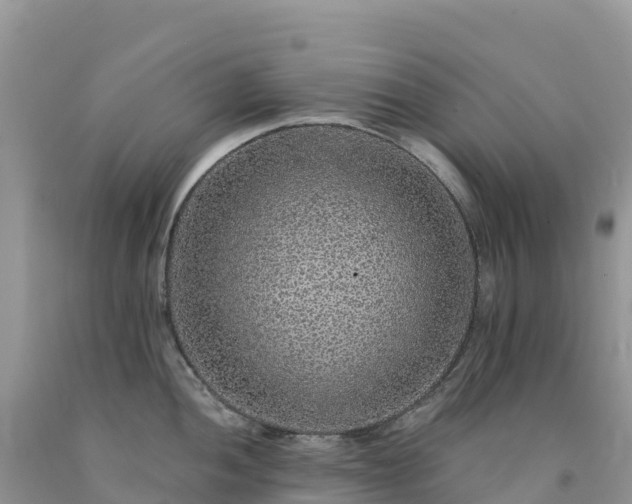 X0000092081052200709191221