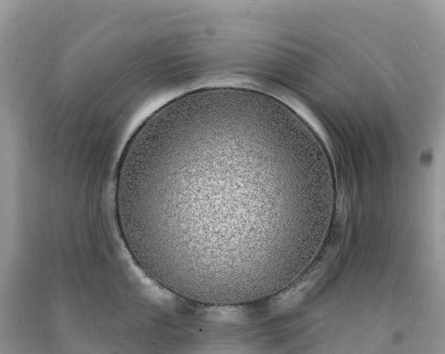 X0000092081053200709191221