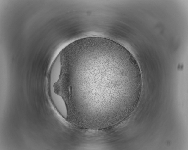 X0000092081056200709191221