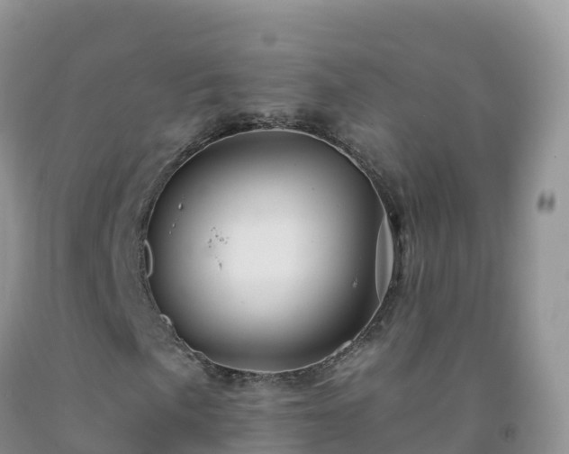 X0000092081057200709191220