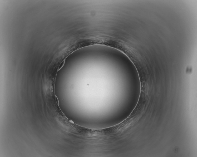 X0000092081058200709191220