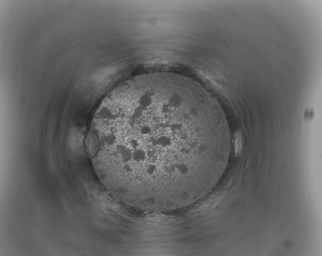 X0000092081059200709191220
