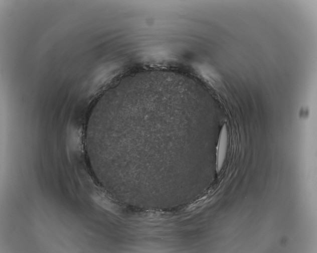 X0000092081060200709191220
