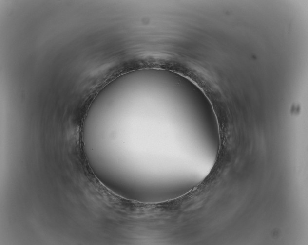 X0000092081061200709191220