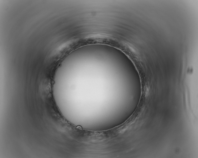 X0000092081062200709191220
