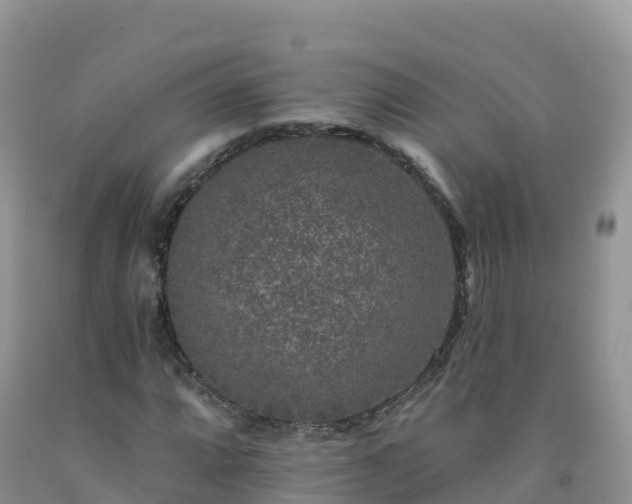 X0000092081064200709191220