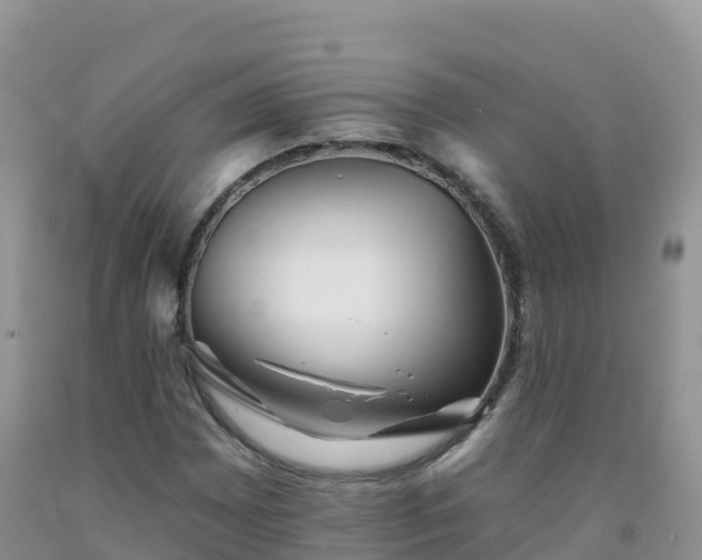 X0000092081065200709191220