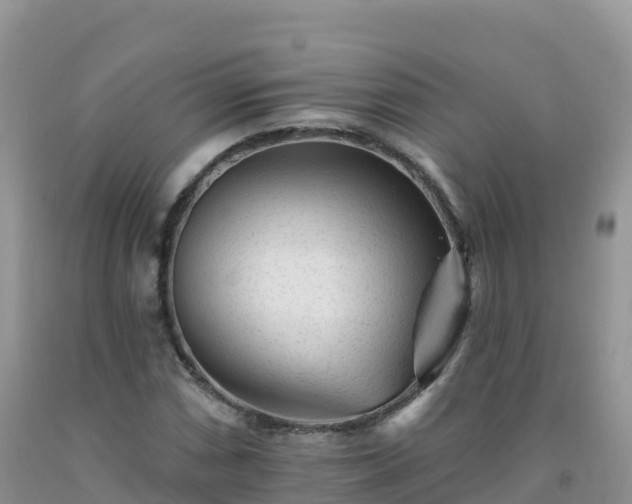 X0000092081066200709191220