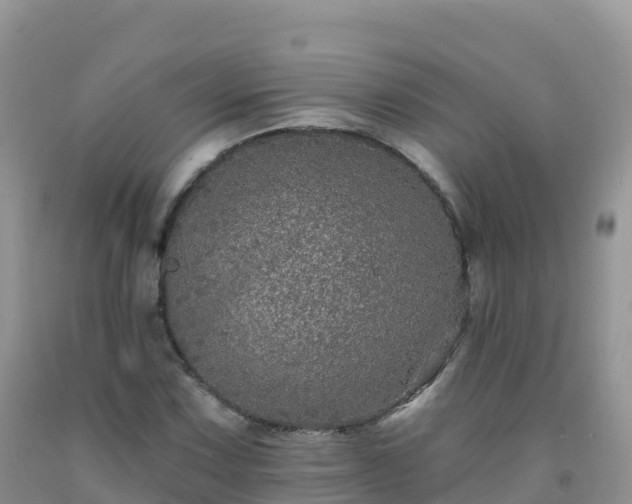 X0000092081067200709191220