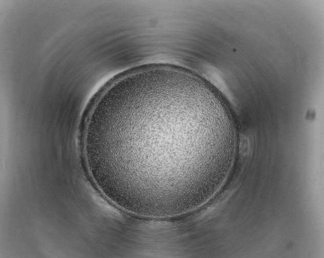X0000092081068200709191220