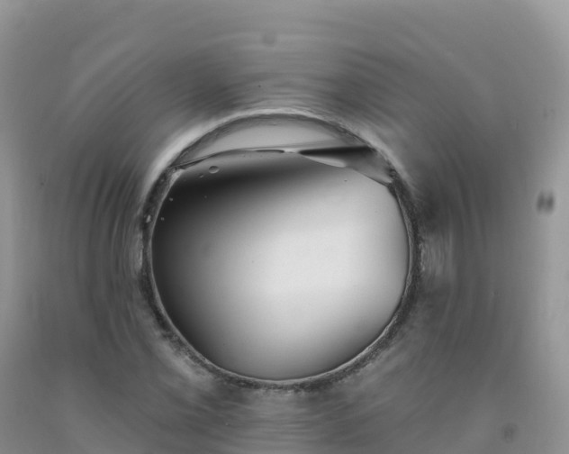 X0000092081069200709191220