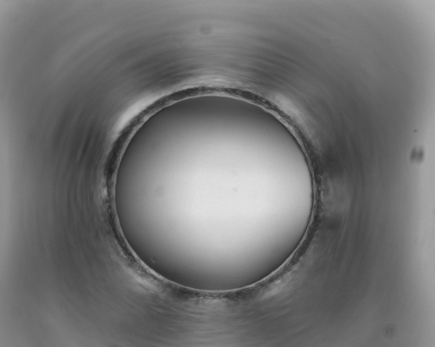 X0000092081070200709191220