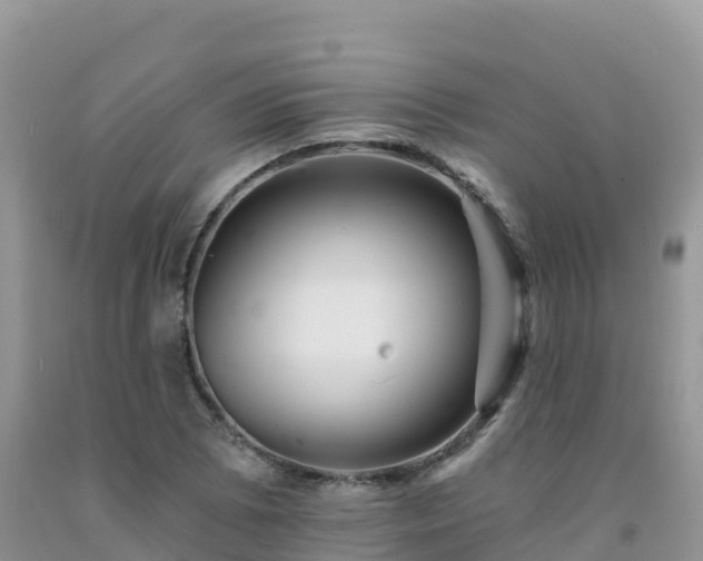 X0000092081073200709191220