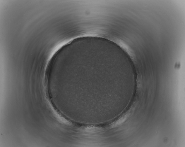 X0000092081077200709191220