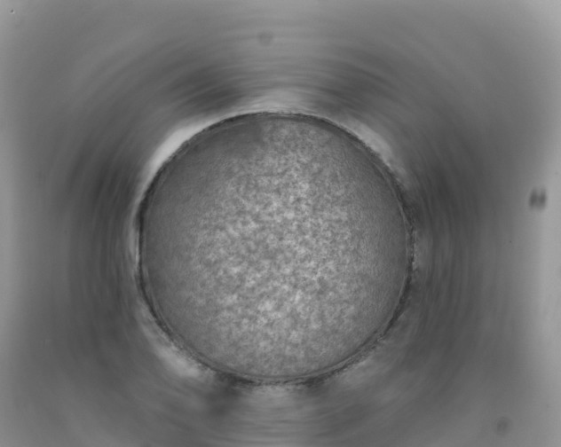 X0000092081078200709191220