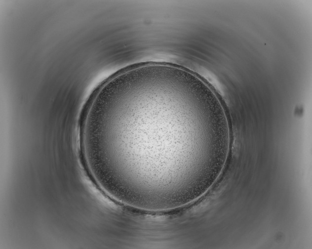 X0000092081080200709191220