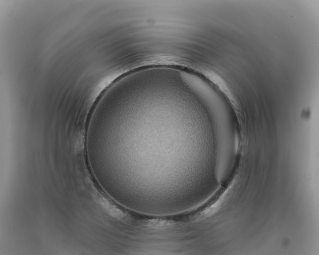 X0000092081081200709191220