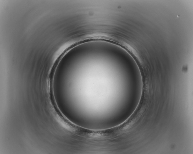 X0000092081082200709191220