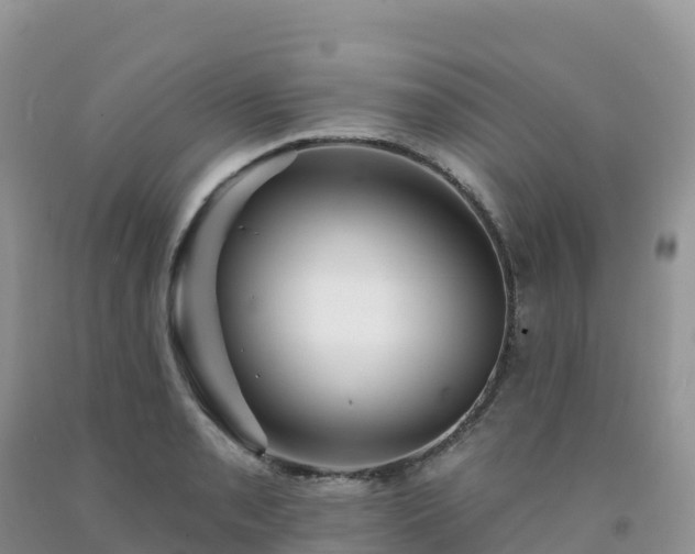 X0000092081085200709191220