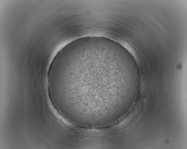 X0000092081088200709191220