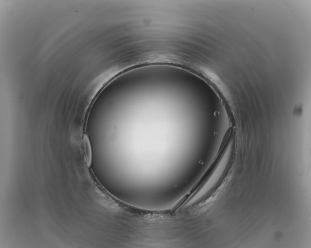 X0000092081089200709191220