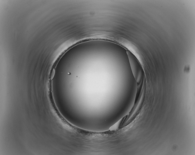 X0000092081093200709191220