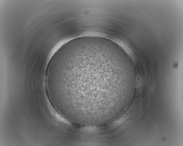 X0000092081094200709191220