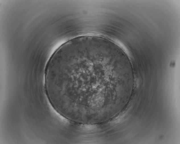 X0000092081095200709191220