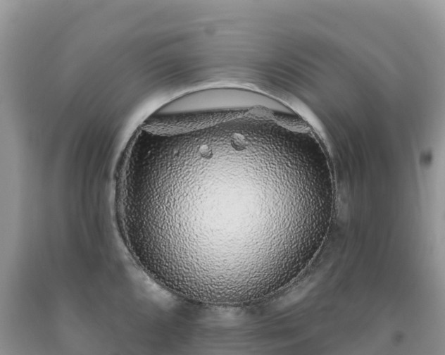 X0000092081096200709191220