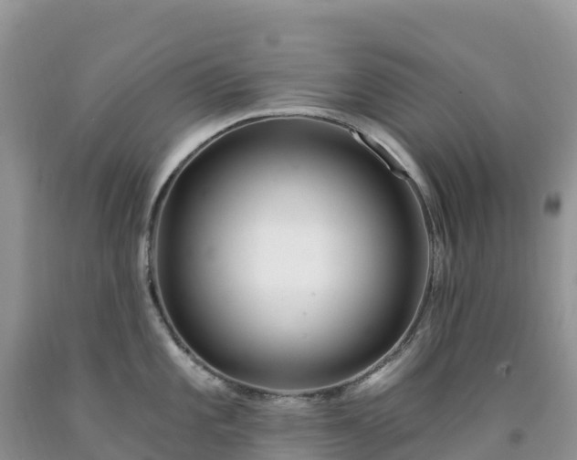 X0000092081101200709191219