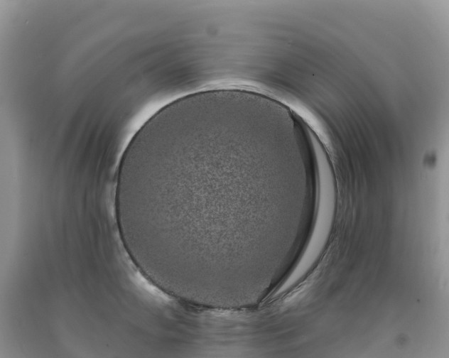 X0000092081102200709191219